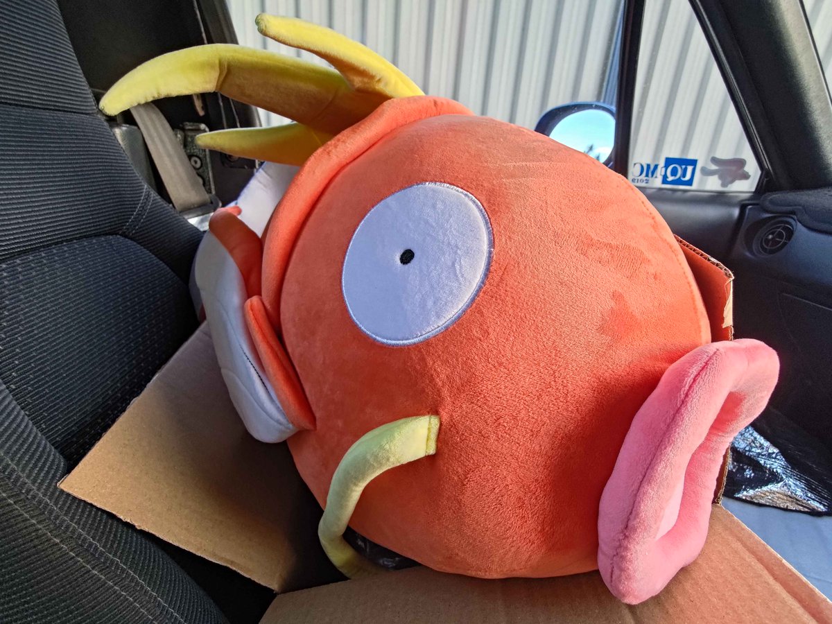 Queensland Ultimate tweet media