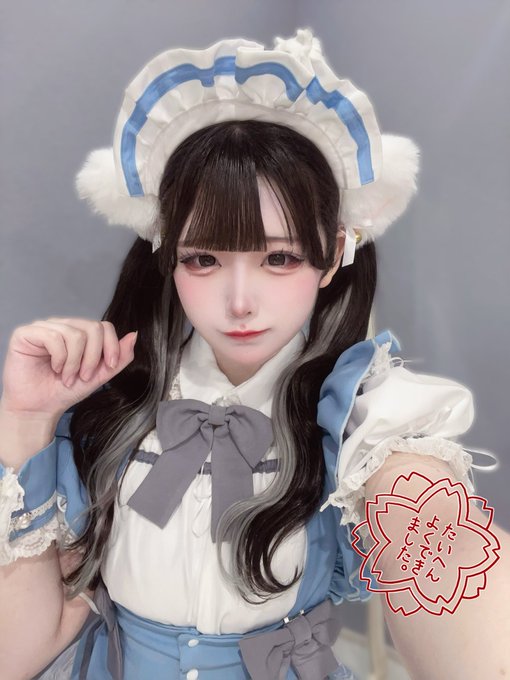 子猫maidcafeRagdollのツイート