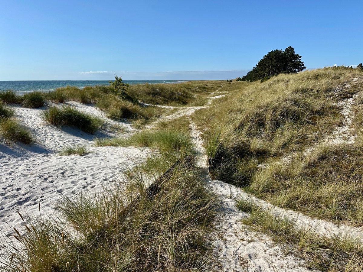 bitquickcom's tweet image. Falsterbo
bitquick.com/falsterbo