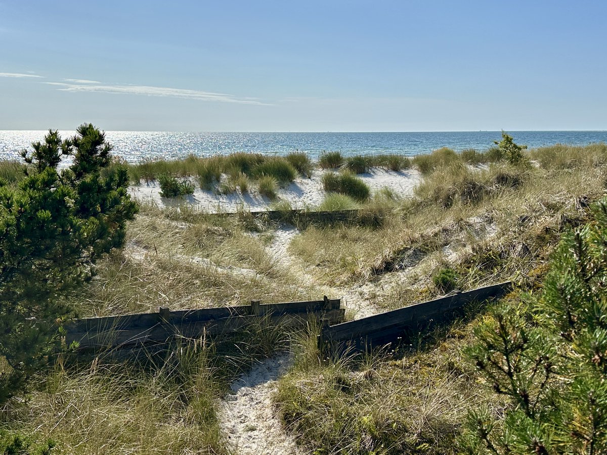 bitquickcom's tweet image. Falsterbo
bitquick.com/falsterbo