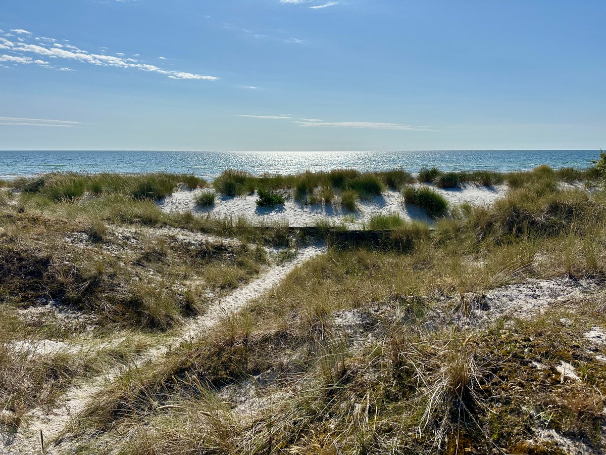 bitquickcom's tweet image. Falsterbo
bitquick.com/falsterbo