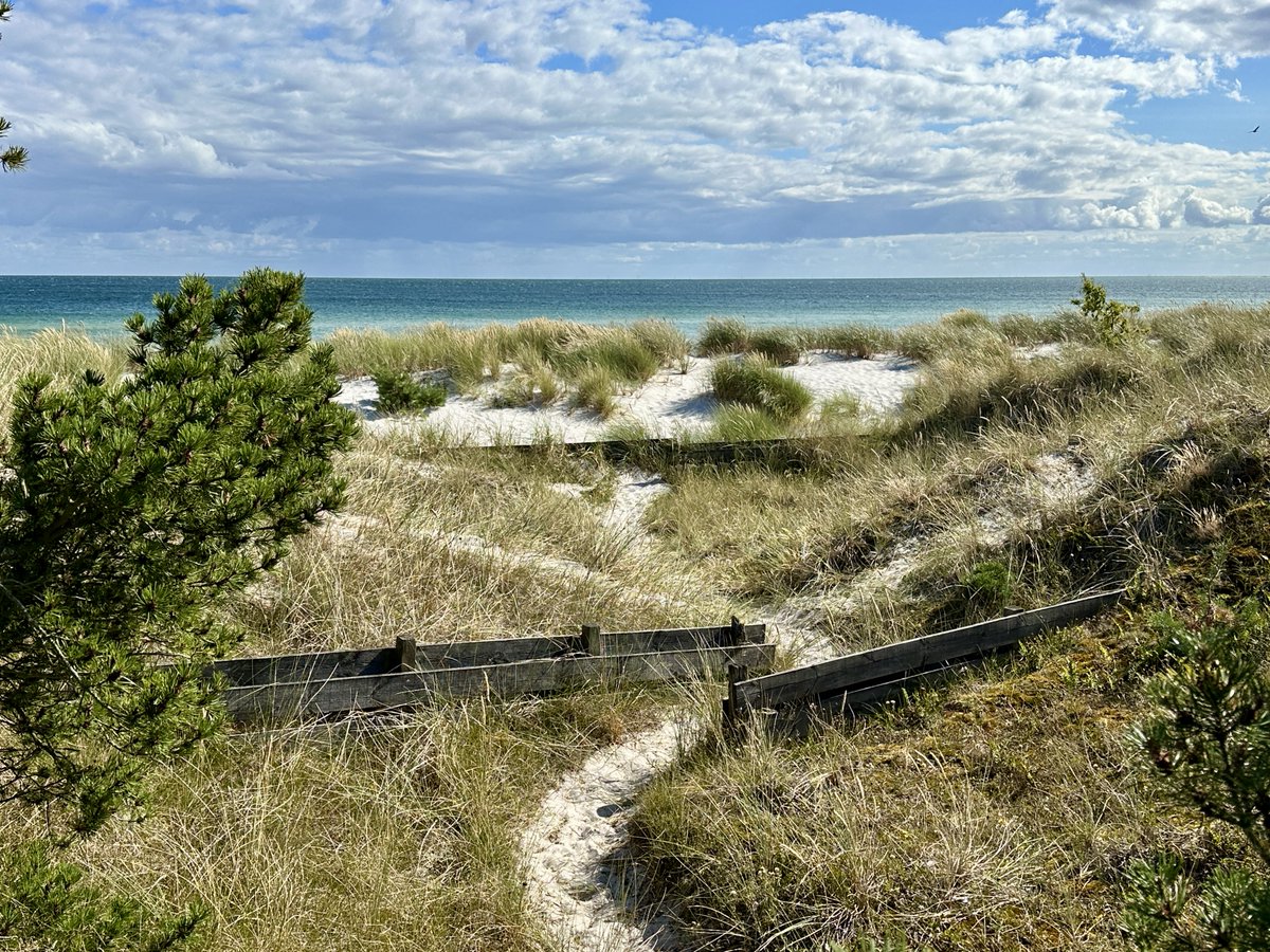 bitquickcom's tweet image. Falsterbo
bitquick.com/falsterbo