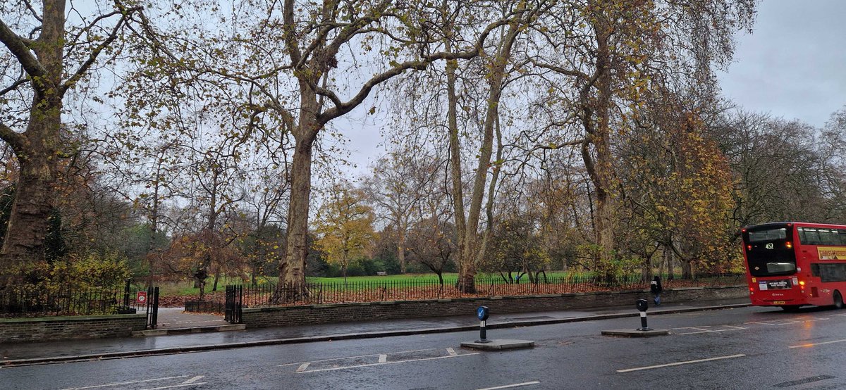 CSS Boost tweet media