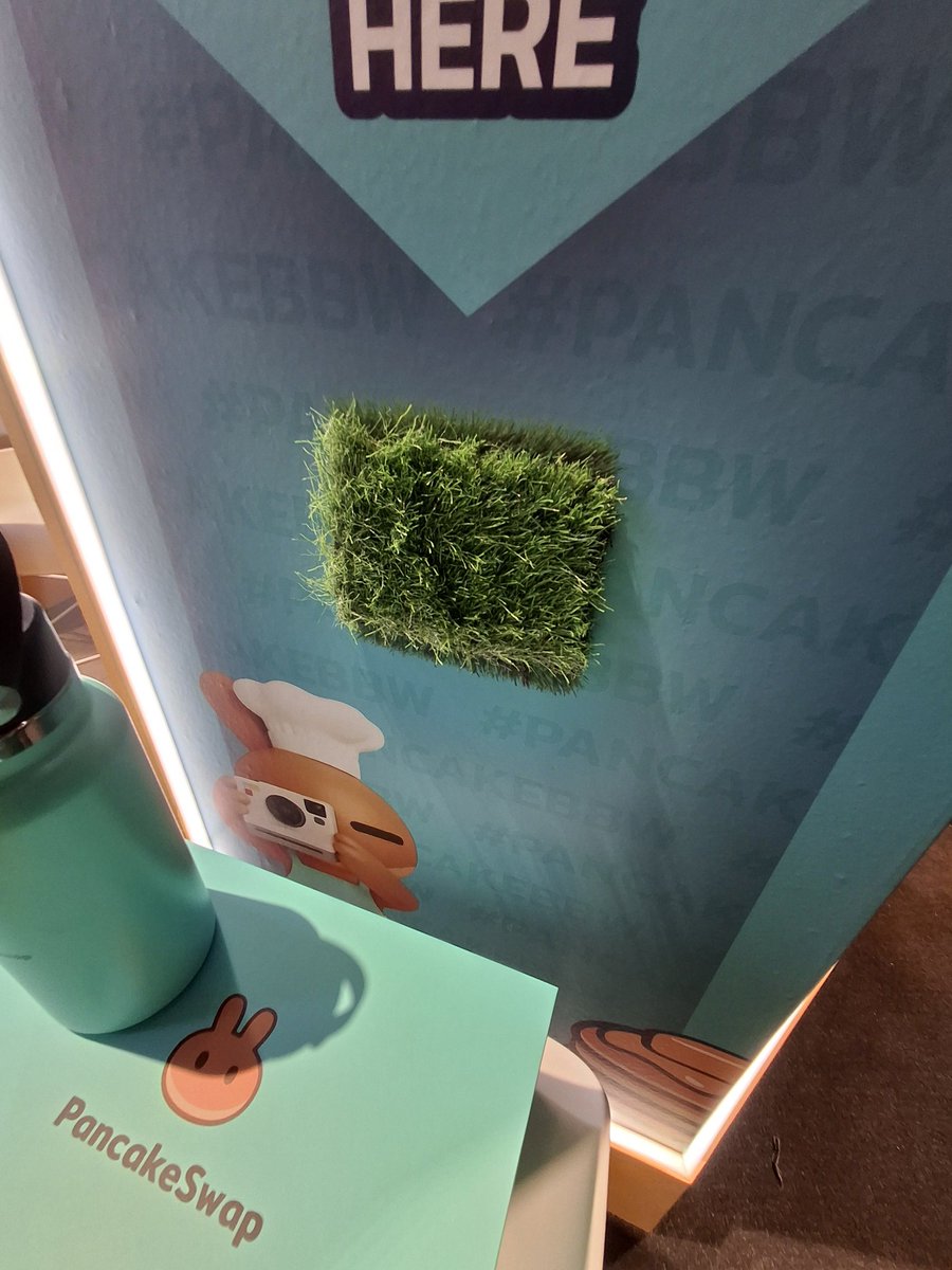 GanboldTu's tweet photo. Touching grass #pancakeswap https://t.co/cT7O4cUXRF