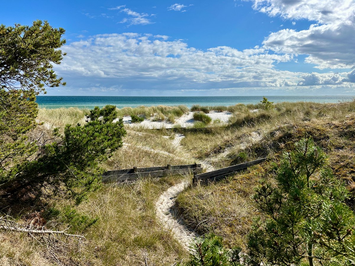 bitquickcom's tweet image. Falsterbo
bitquick.com/falsterbo