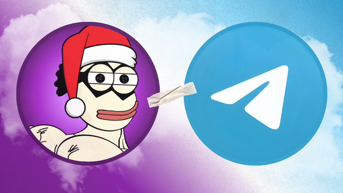 MRCUM 🌞 tweet media