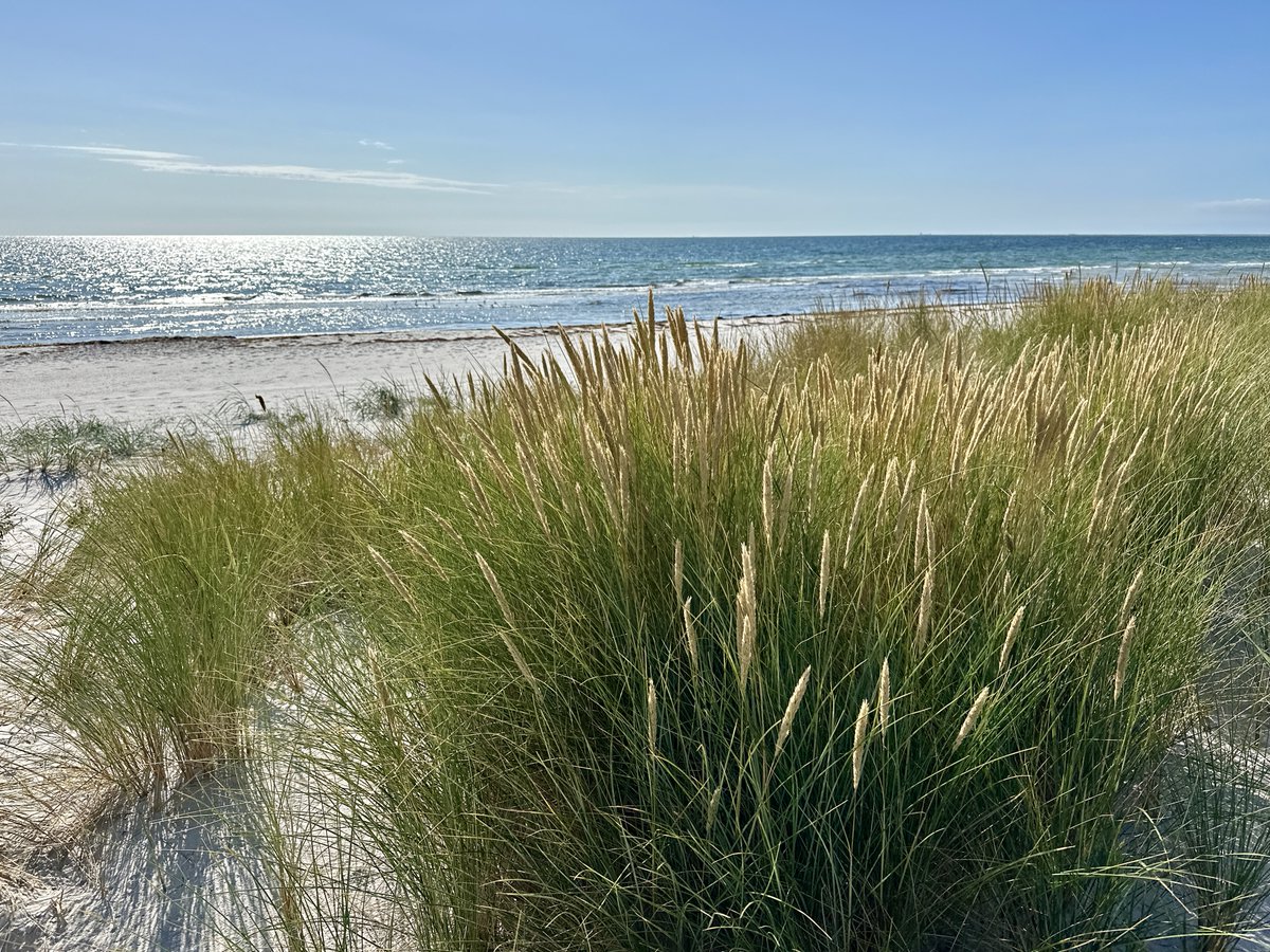 bitquickcom's tweet image. Falsterbo
bitquick.com/falsterbo