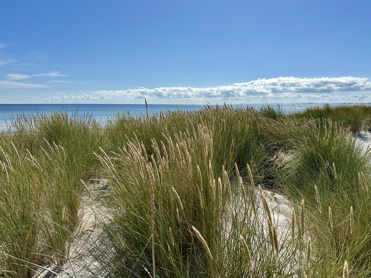 bitquickcom's tweet image. Falsterbo
bitquick.com/falsterbo