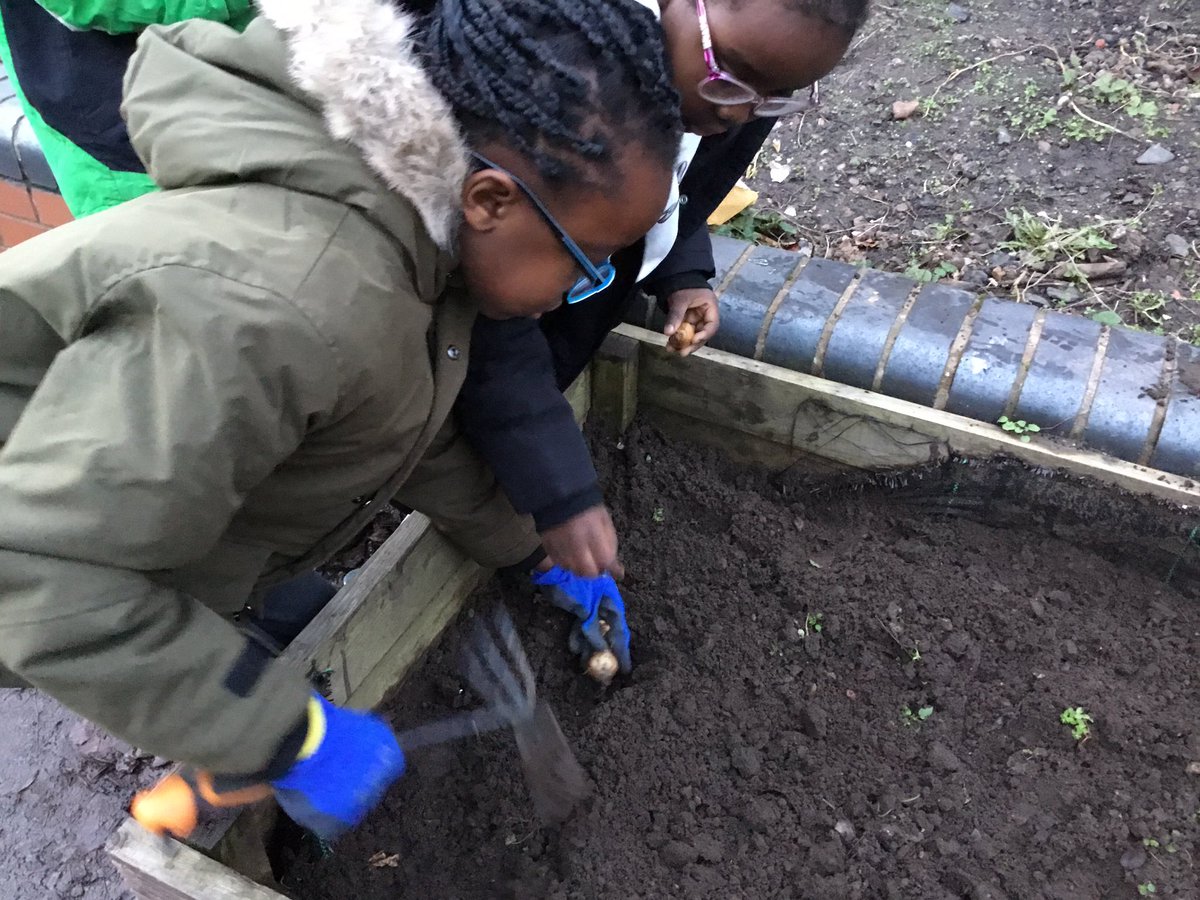 Kings Norton Primary tweet media