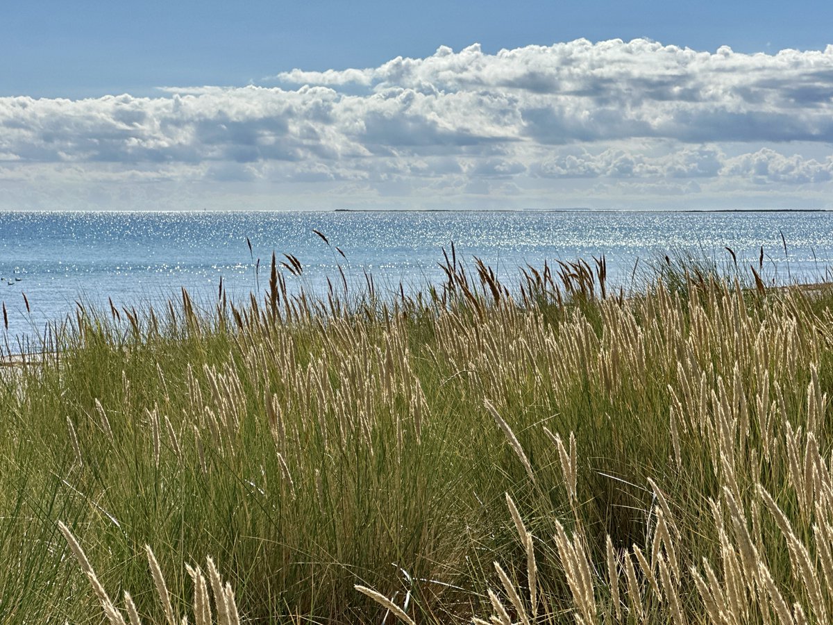 bitquickcom's tweet image. Falsterbo
bitquick.com/falsterbo