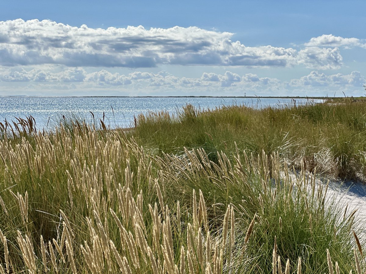 bitquickcom's tweet image. Falsterbo
bitquick.com/falsterbo