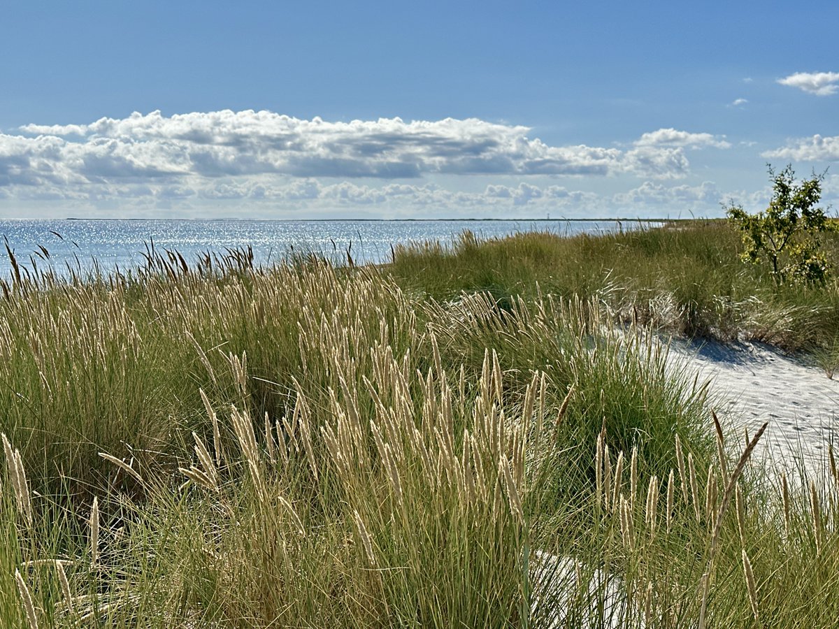 bitquickcom's tweet image. Falsterbo
bitquick.com/falsterbo