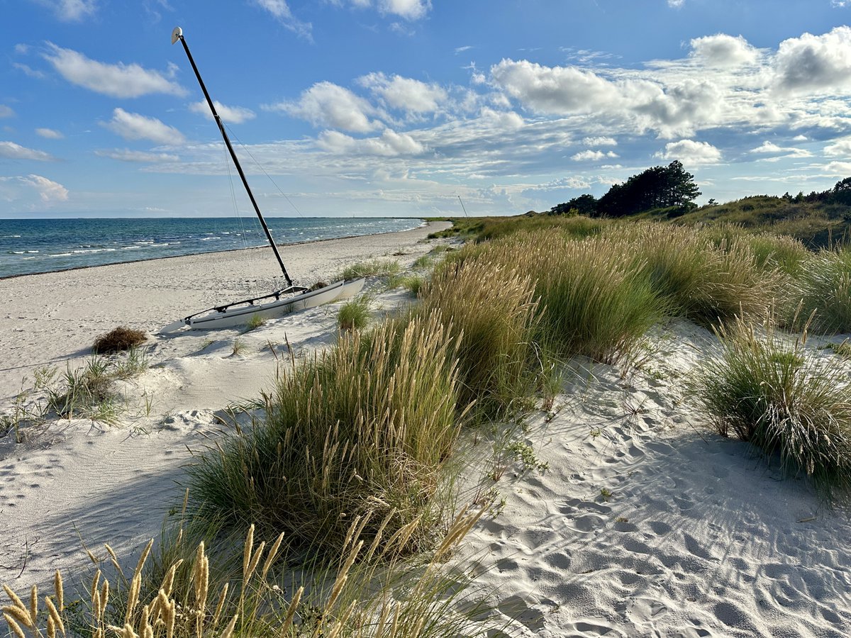 bitquickcom's tweet image. Falsterbo
bitquick.com/falsterbo