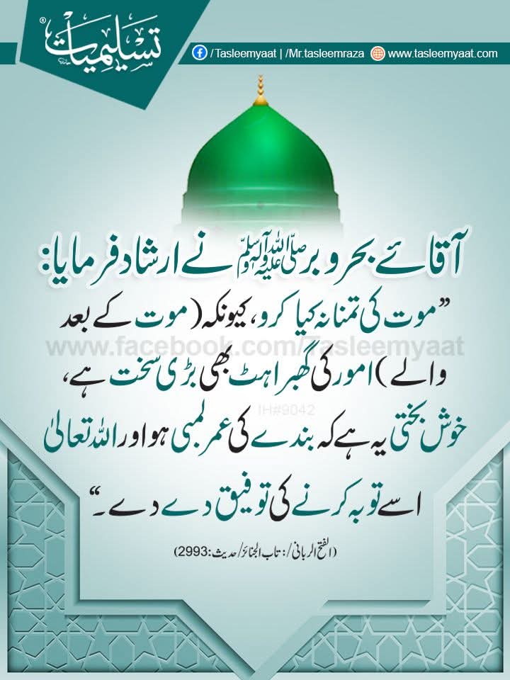 اللھم صل علی سیدنا و مولانا محمد معدن الجود والکرم منبع العلم والحلم والحکم وعلیٰ آلہ و صحبہ وبارک وسلم 💐 🌹 🌹 ♥️ 🌹 
استغفرُللہ الذی لا الہ الا ھو الحی القیوم واتوب الیه 🤲 ♥️ 🌹