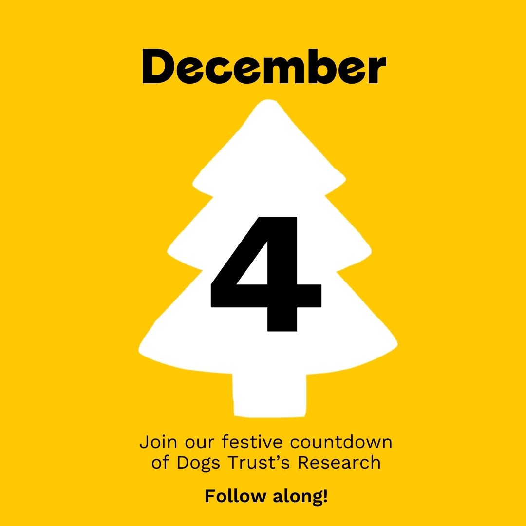 Dogs Trust's Canine Behaviour & Research Teams 💛 tweet media