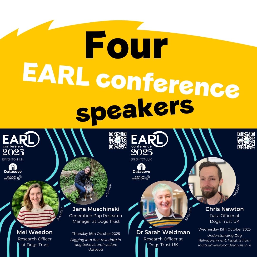 Dogs Trust's Canine Behaviour & Research Teams 💛 tweet media