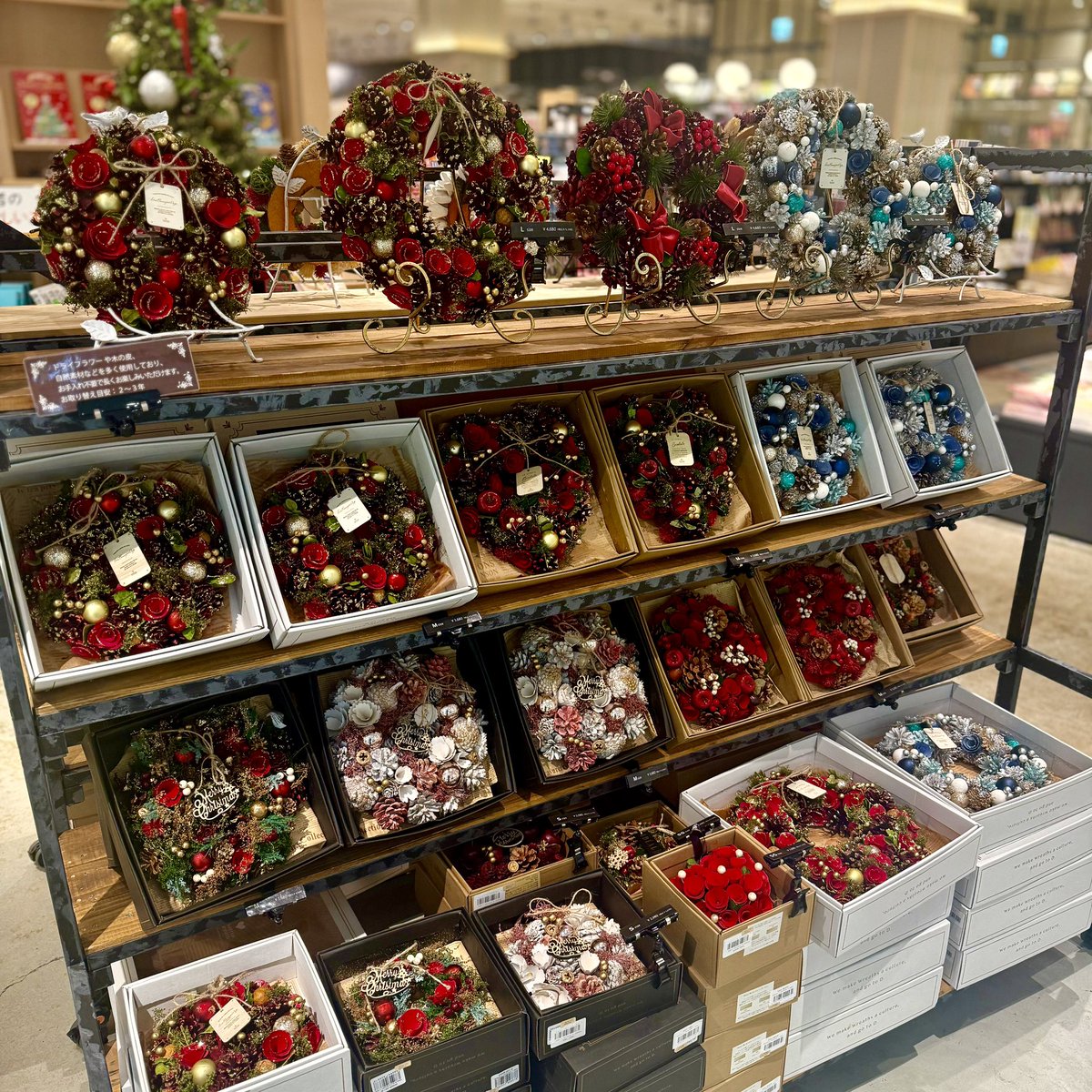 フラワーリース 期間限定販売🎄✨ クリスマスリースがずらり…！ 赤・白