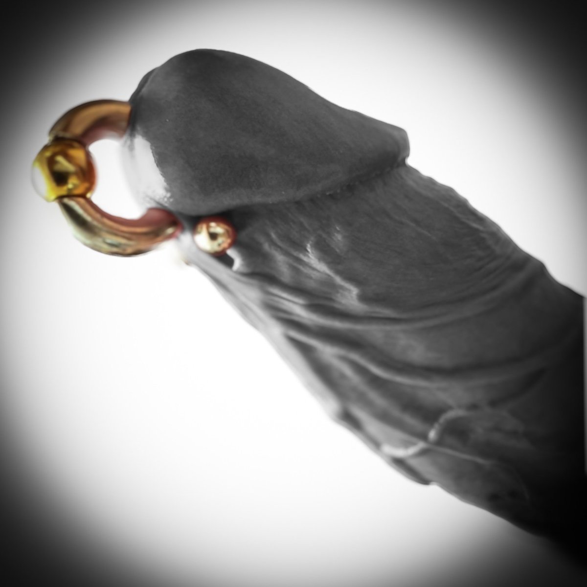 🇩🇪 🔞🥵 𓂸 19x5cm tweet media