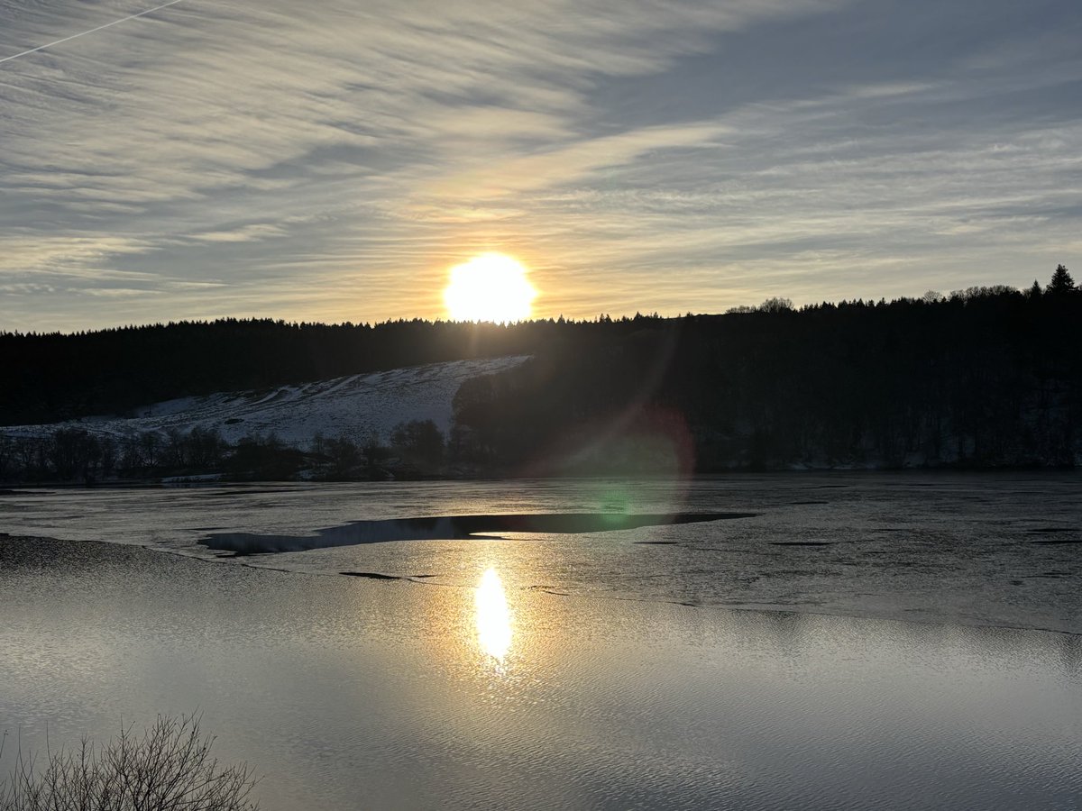 LoloDocRider tweet media