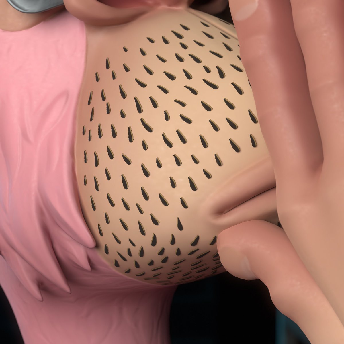 Gratefulape's tweet image. gm🌞