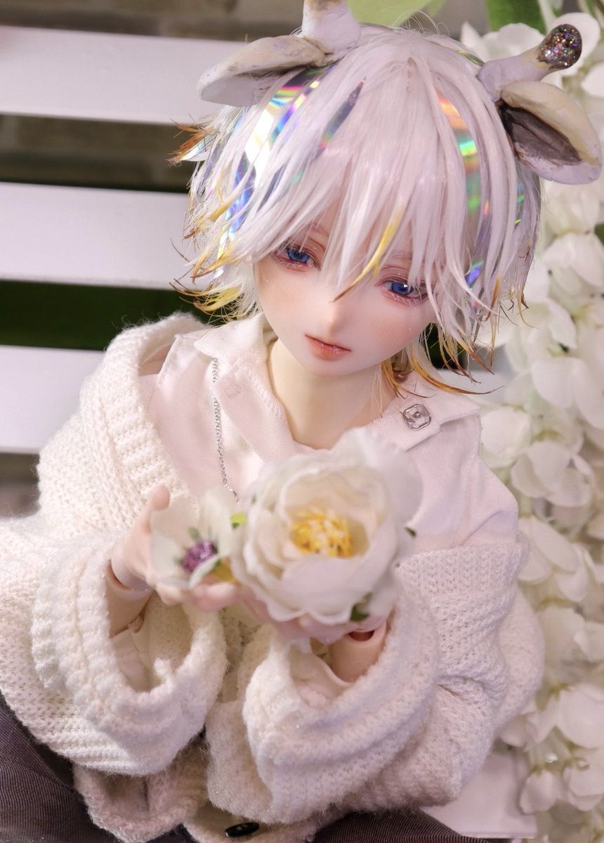 ☆Maple☆ (@0vf5861038d3w1m) / Posts / X