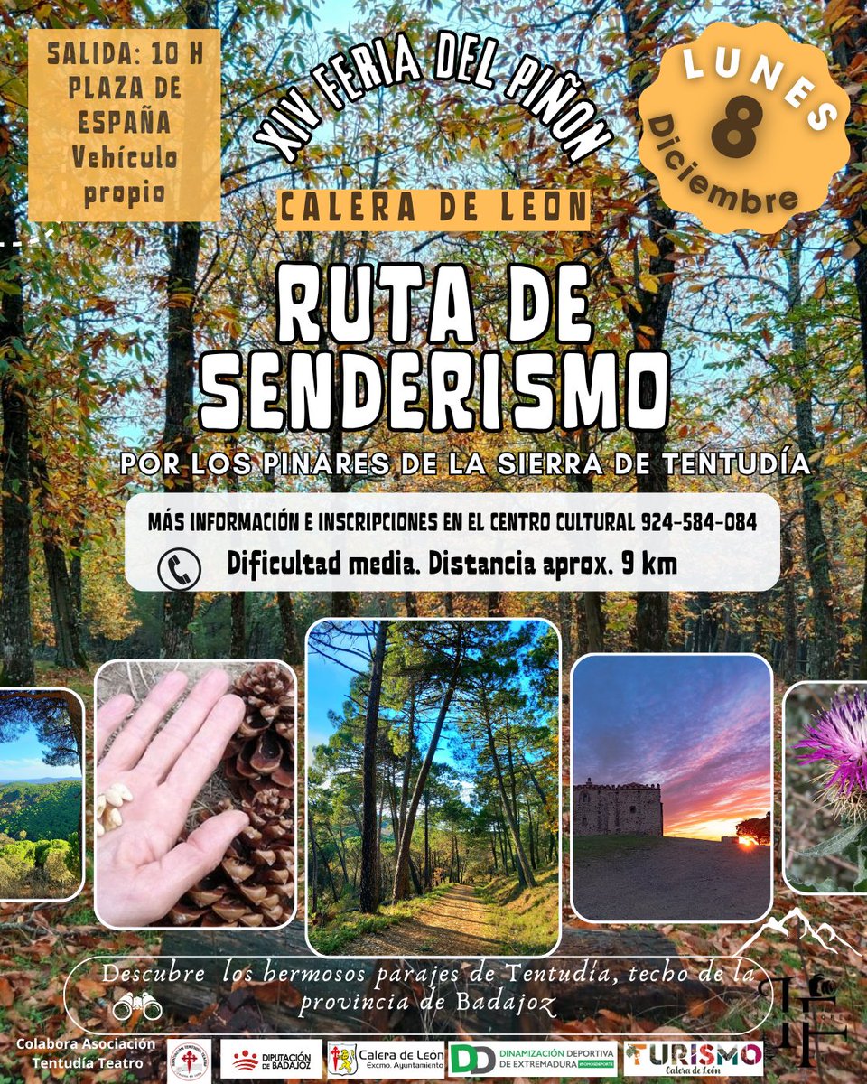 Entre tus actividades para los próximos días puedes incluir este #PlanEco que forma parte de las actividades de la 𝗫𝗜𝗩 𝗙𝗲𝗿𝗶𝗮 𝗱𝗲𝗹 𝗣𝗶𝗻̃𝗼́𝗻 𝗱𝗲 𝗖𝗮𝗹𝗲𝗿𝗮 𝗱𝗲 𝗟𝗲𝗼́𝗻 👇caleradeleon.com/programacion-x…

<a href="/DipdeBadajoz/">Diputación de Badajoz</a> <a href="/turismoprovbdjz/">Turismo Provincia Badajoz</a> #CaleraDeLeón