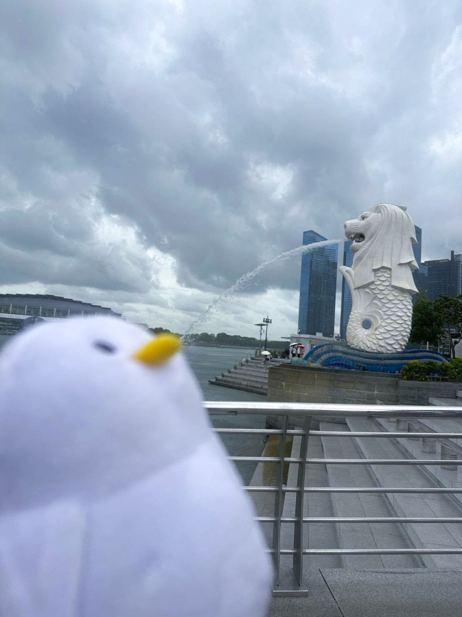 🐣🐣🐣 ／ 🐥シンガポールに行っていた #まつりちゃん から写真が届い
