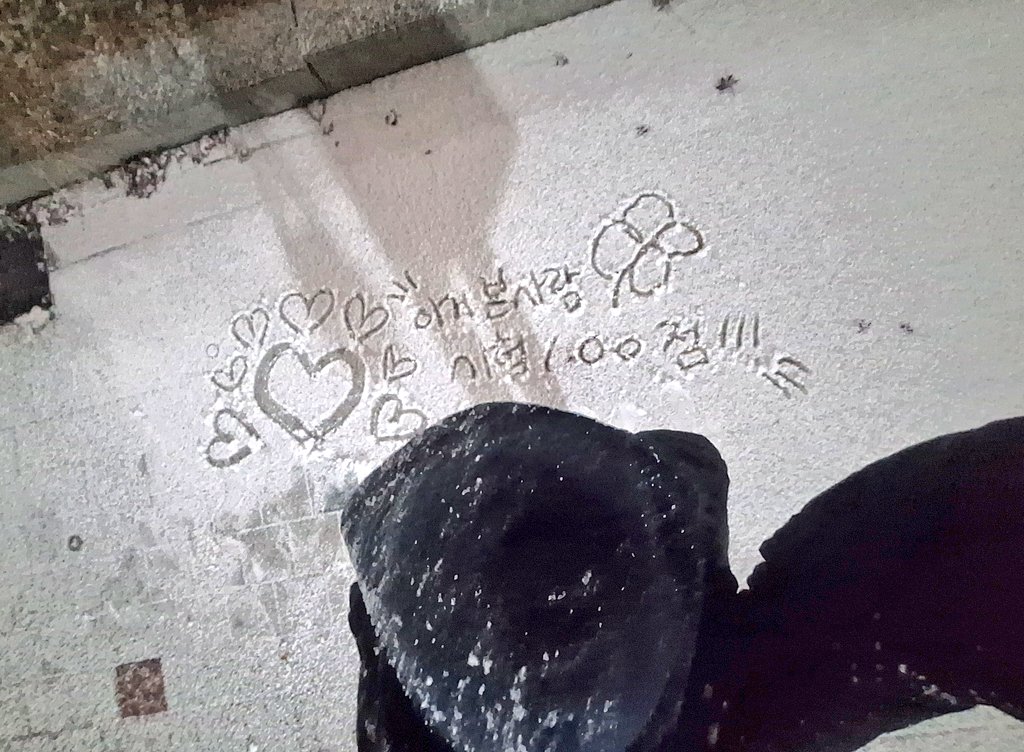 폿차마 (@piplup_study) on Twitter photo 