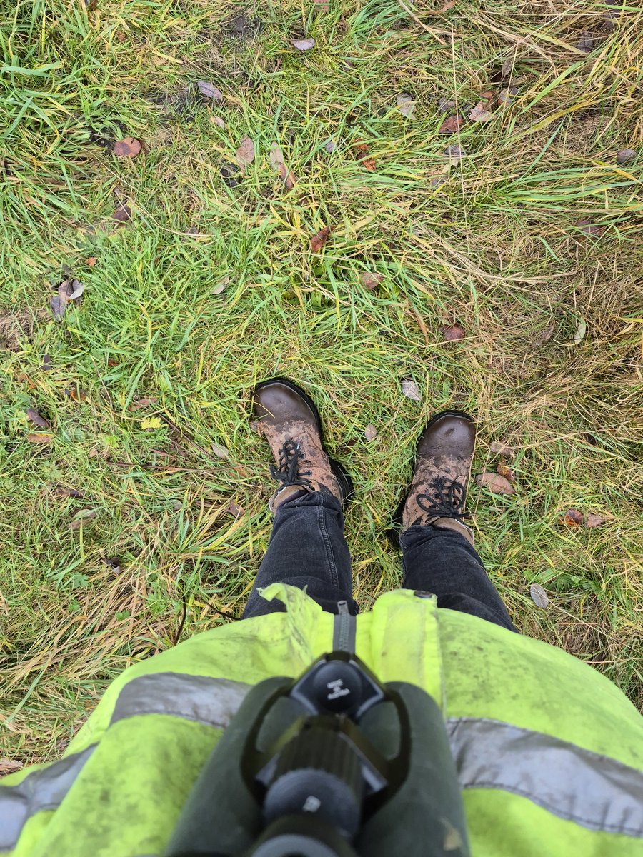 Amy W Schwartz is in 🇹🇼 tweet media