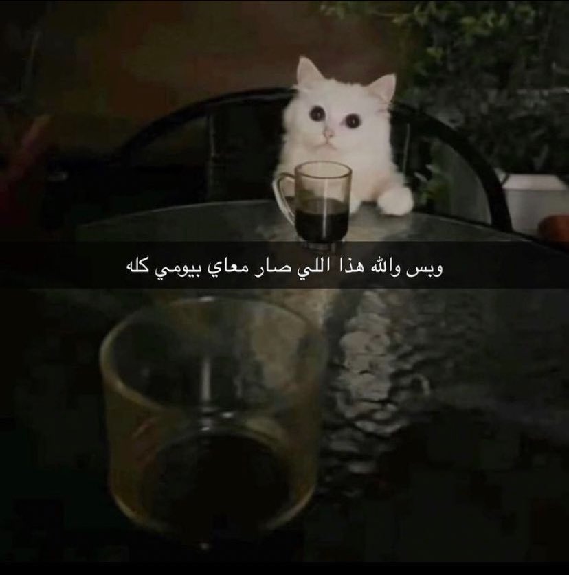 • (@________yv) on Twitter photo 