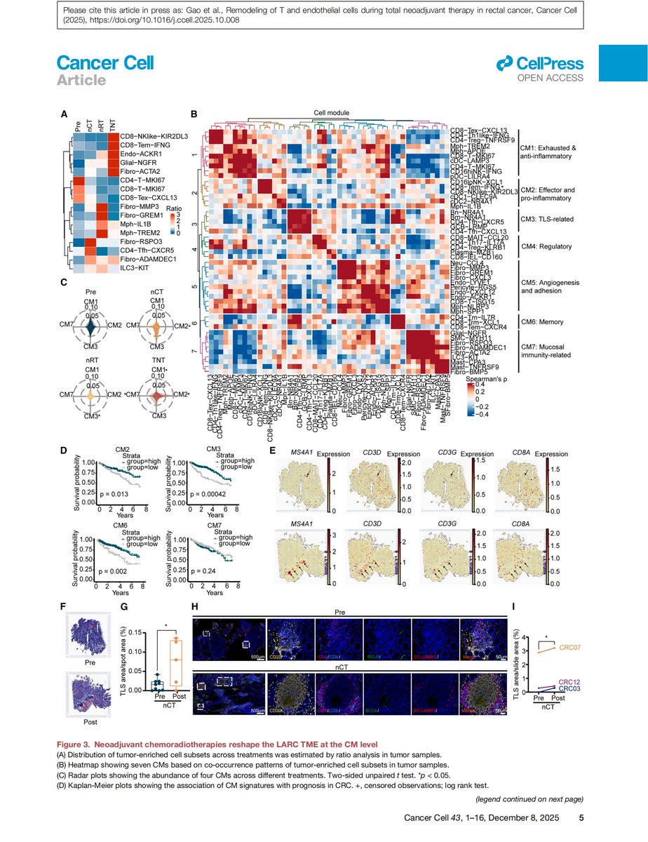 ST_Omics's tweet image. Location matters. 📍In Rectal Cancer, spatial proximity defines outcome. New in Cancer Cell: #StereoSeq reveals that T cell &amp;amp; EC co-localization drives 64% Complete Remission in TNT therapy. 📉See the proof:👉 bit.ly/44MFCJR
#SpatialOmics #STOmics