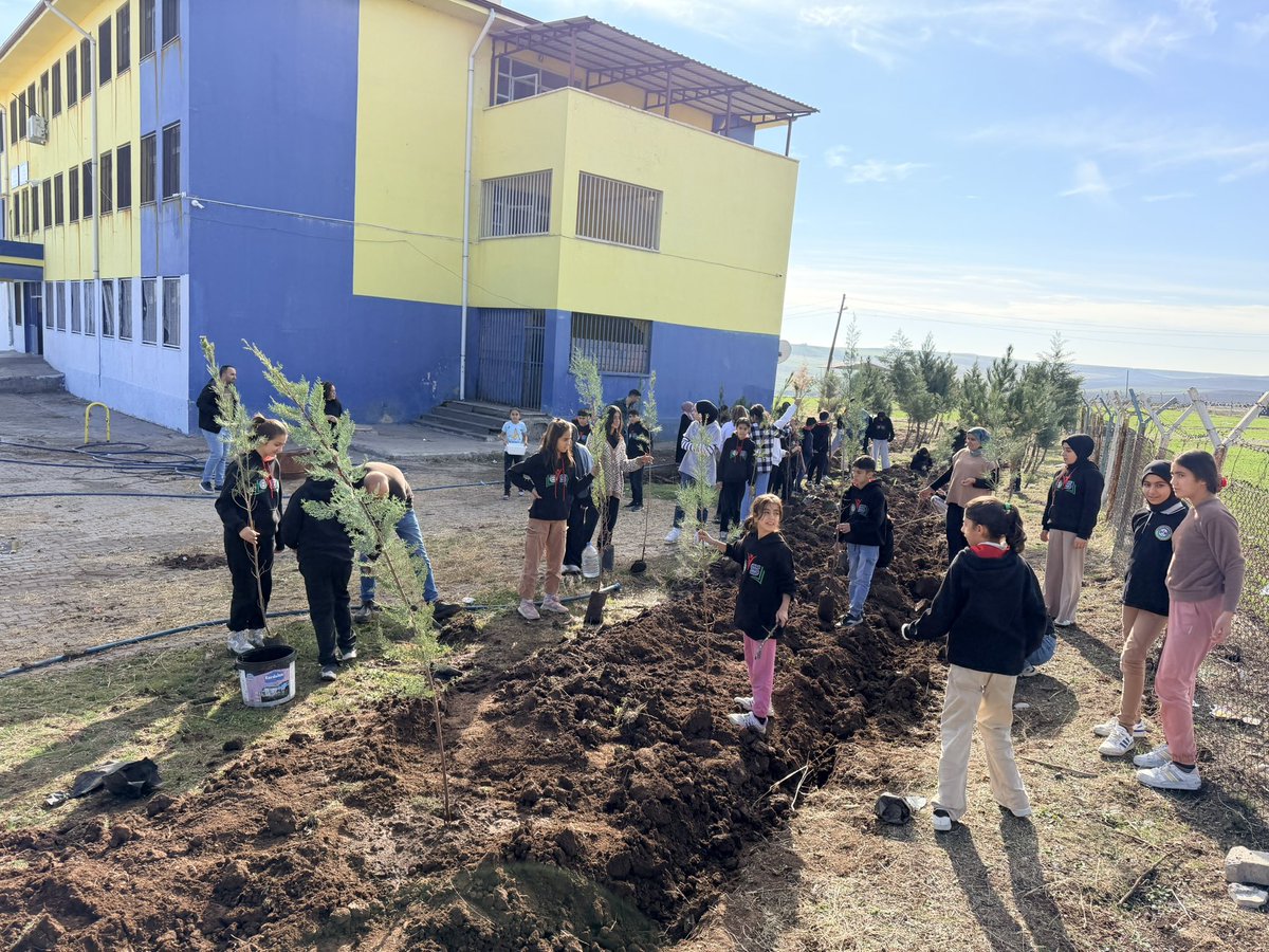 Yeşil Vatan Benim Okulum projemiz kapsamında bugün okulumuzda fidan diktik. Öğrencilerimizle el ele vererek okulumuzu yeşillendirdik.
Katkılarından dolayı İlçe Millî Eğitim Müdürümüze teşekkür ediyoruz. <a href="/Yusuf__Tekin/">Yusuf Tekin</a> <a href="/sadoglu_salih/">Salih Sadoğlu</a> <a href="/vali_zorluoglu/">Murat Zorluoğlu</a> <a href="/ErnezDemir/">Demir Ernez</a>  <a href="/hasanakbulut24/">Hasan Akbulut</a>