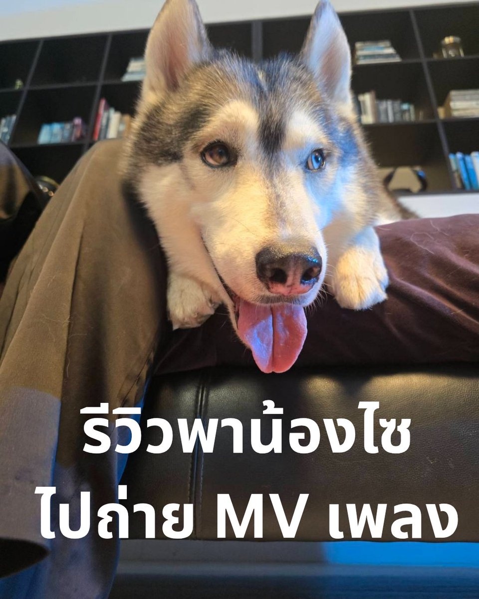 โจเซ่ชื่อโฮเซ่แต่เรียกว่าโจเซ่ tweet media