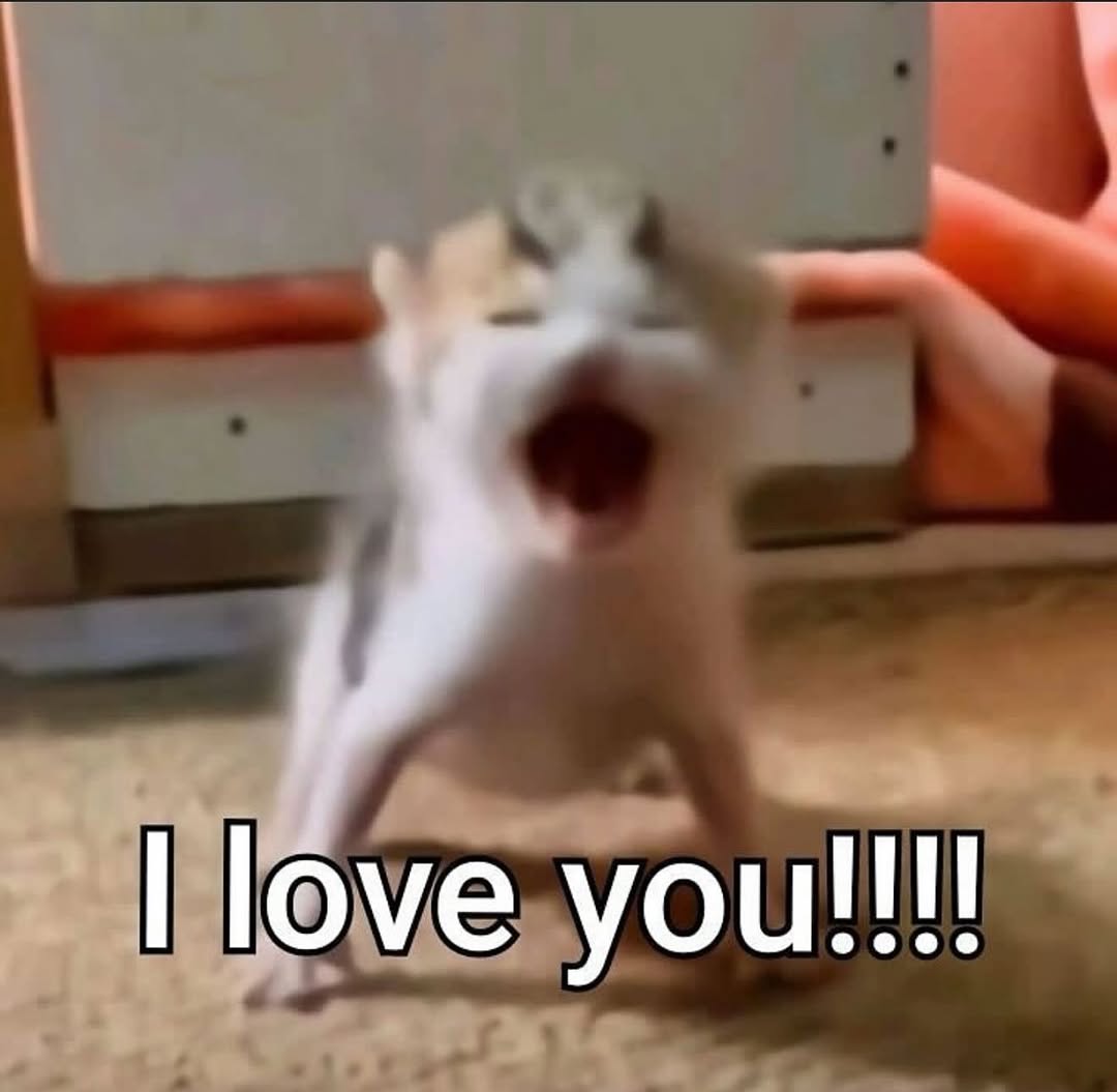 Catsillyness's tweet photo. https://t.co/qjRf9Fb0Ii