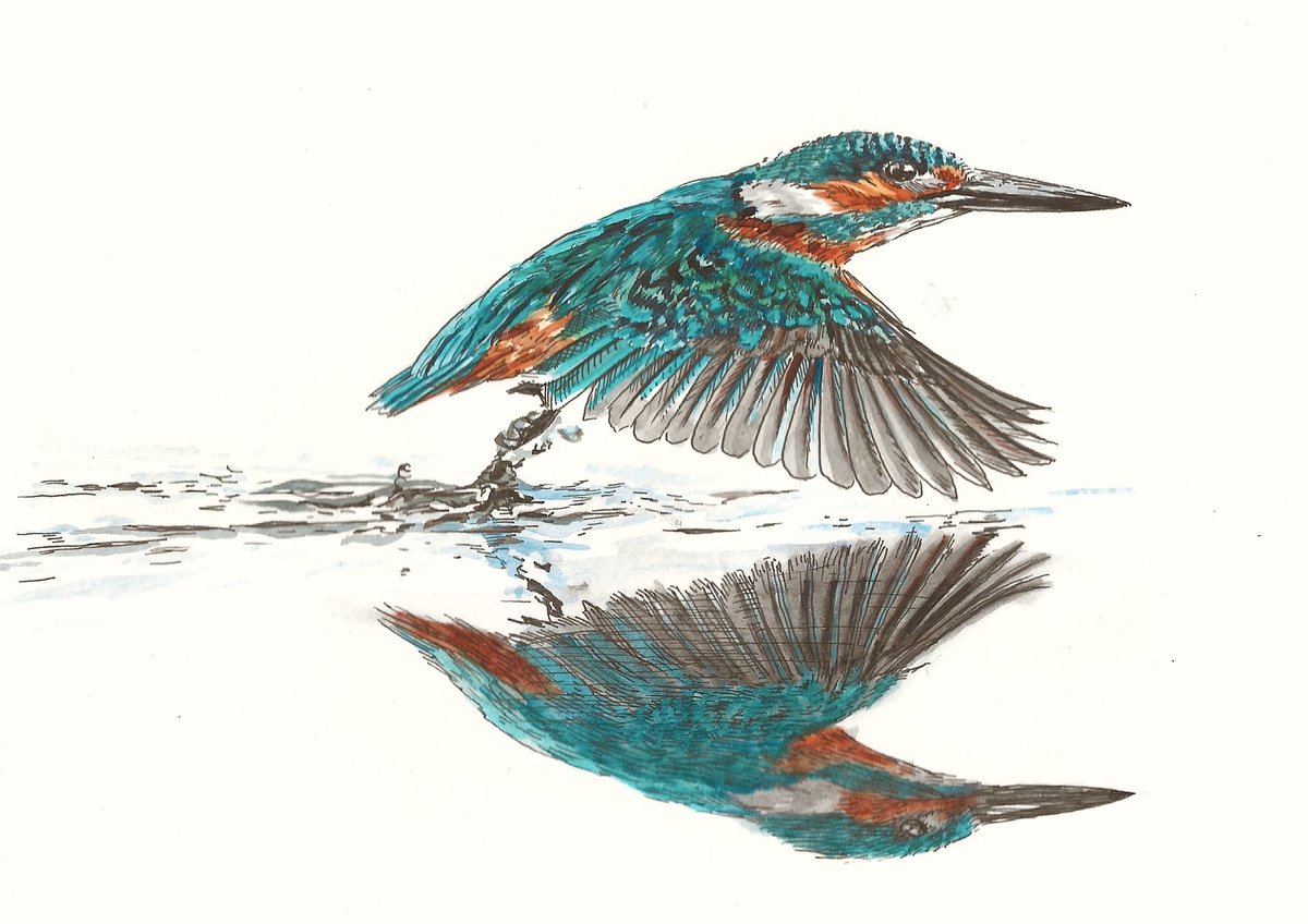 AtelierGeeraets's tweet image. Ingezoomd is dat ongeveer zo, maar ik vond de lege witte ruimte op het blad zo mooi.