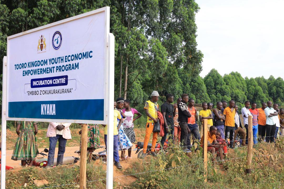 JuliusTrenda's tweet photo. Tooro Kingdom has launched Phase Two of its Youth Economic Empowerment Program in Kyaka The initiative includes modern seedling nurseries, a hatchery, and an ICT Centre to boost agriculture, skills, and youth livelihoods. PM Armstrong thanked President Museveni for the support https://t.co/TQZYf9Pcgw