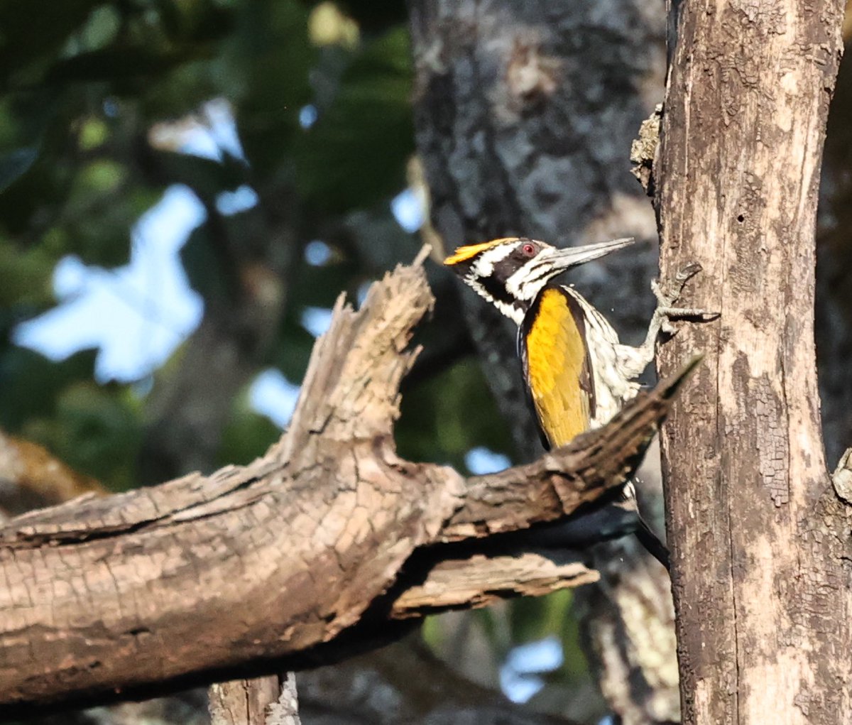 Richie Gannon tweet media