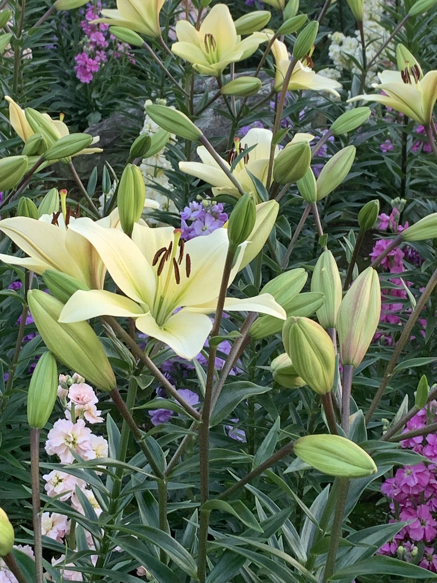 のぶちゃん (@Zxn9LICKUfwObuY) / Posts / X