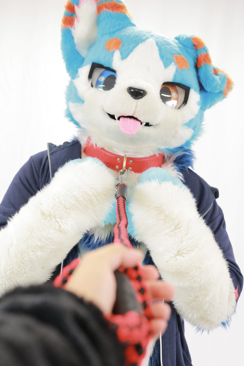 Post by みそしる！ on X: さんぽ🦮