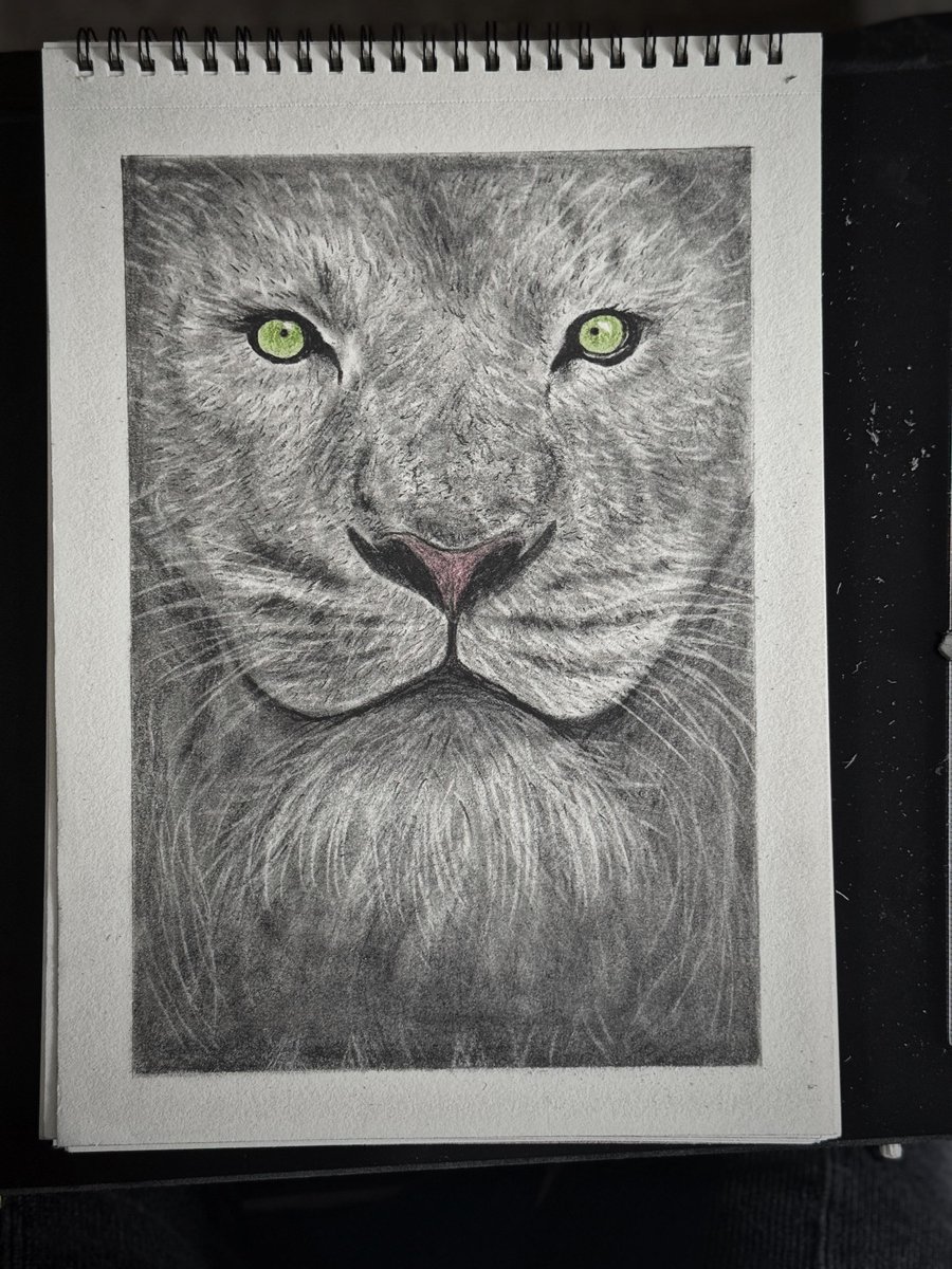 SSPhomeless's tweet image. Pieter told us in support sessions he wanted to get back into art, so we provided paints, brushes, an easel and canvases to help him create again. 

He’s now being supported to join a local art group to build confidence, meet new people and grow his talent.