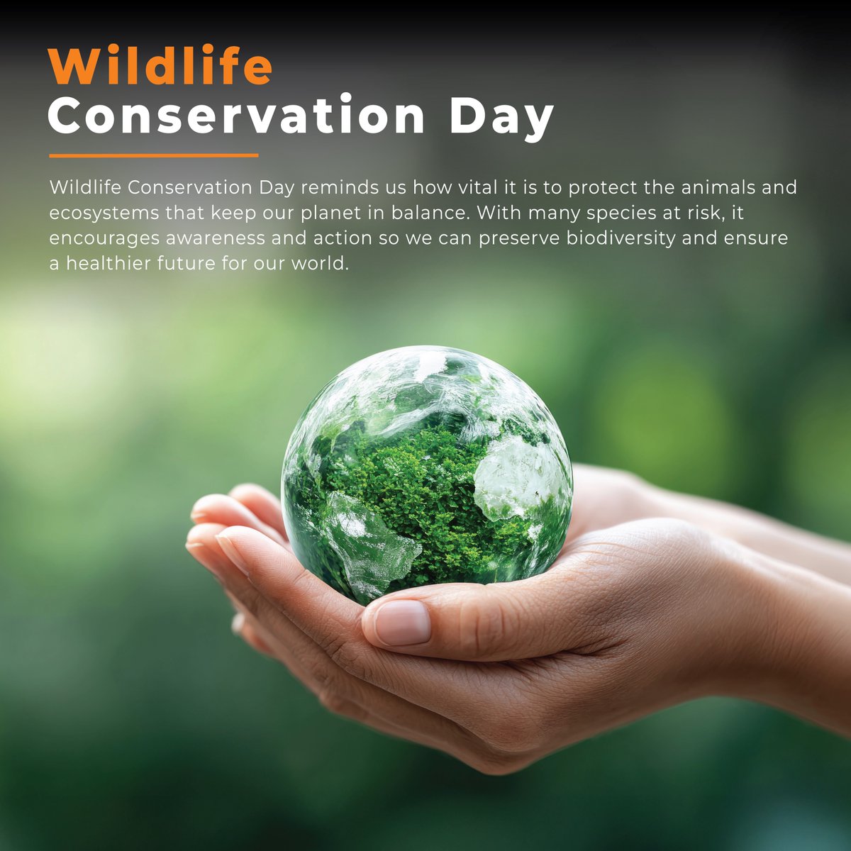 Advance Welding tweet media