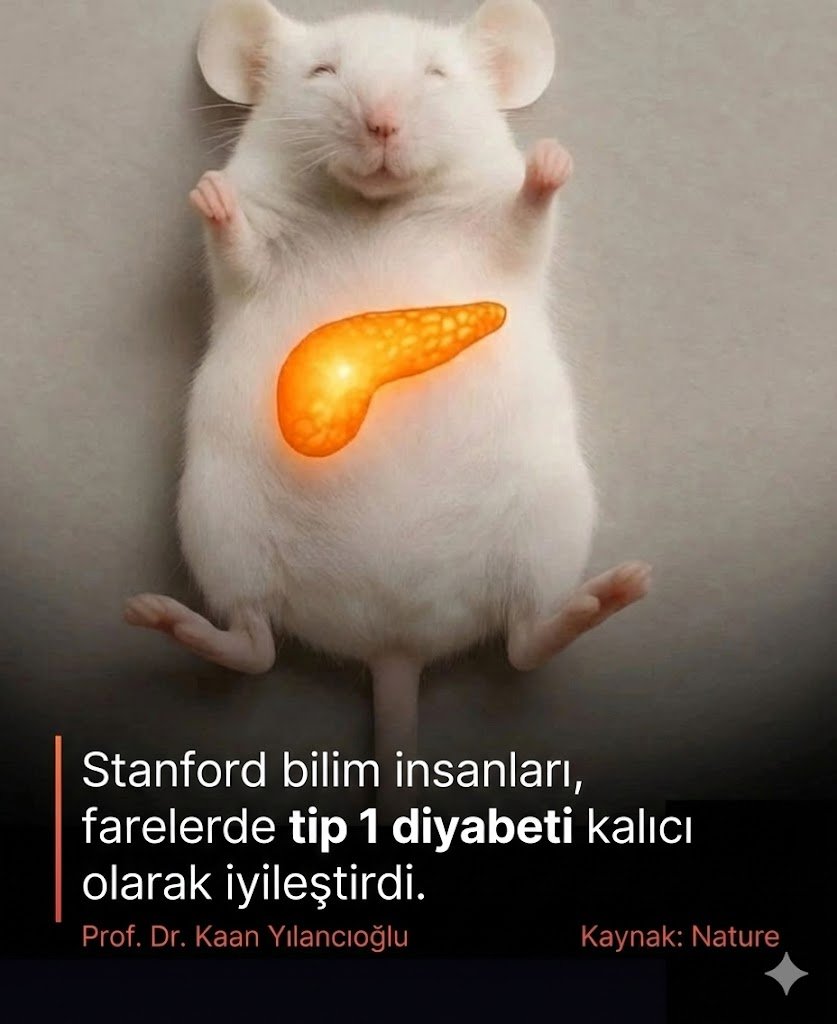 TİP 1 DİYABET FARE DENEYLERİNDE KALICI OLARAK TEDAVİ EDİLDİ, SIRADA İNSANLAR VAR… 

Bilim insanları imkânsız denileni başardı:
İnsüline ihtiyaç sıfır.
Bağışıklık baskılayıcı ilaç sıfır.
Tip 1 diyabet tamamen yok edildi.

Nasıl mı? Oyun değiştiren çiftli bir hücre nakliyle:
🔹