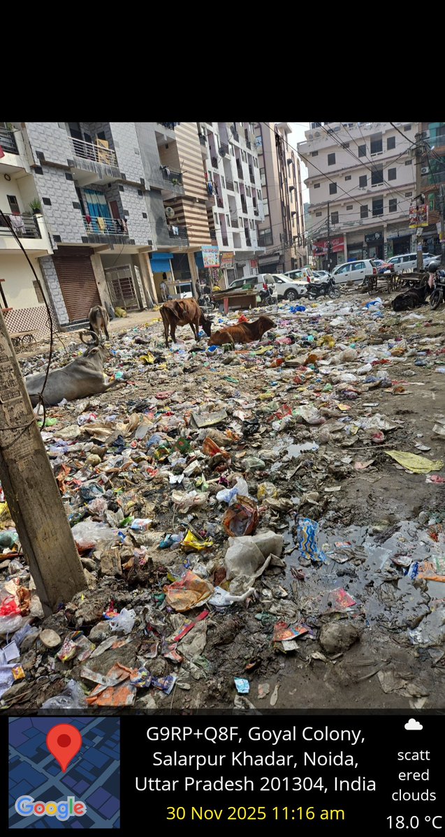 YTKDIndia's tweet image. This is the condition of Noida, a city next to the National Capital, what exactly are authorities doing?

&amp;gt;Where is the municipality?
&amp;gt;Where is basic sanitation?
&amp;gt;Where is accountability?

@noida_authority shame on you!