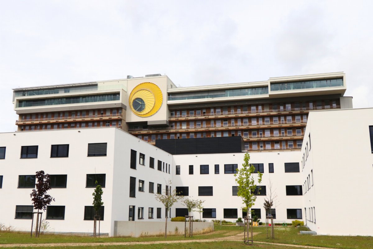 Fakultní nemocnice Plzeň tweet media