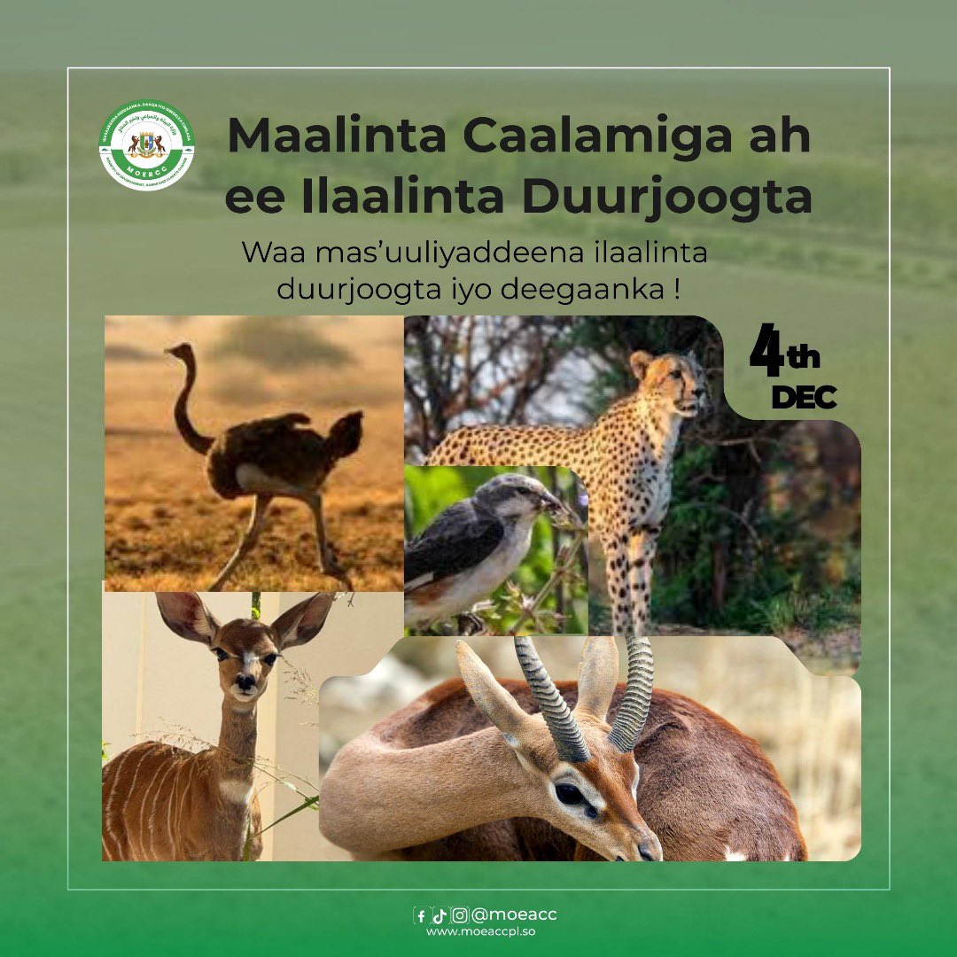 Ministry of Env, Range & Climate Change-Puntland tweet media