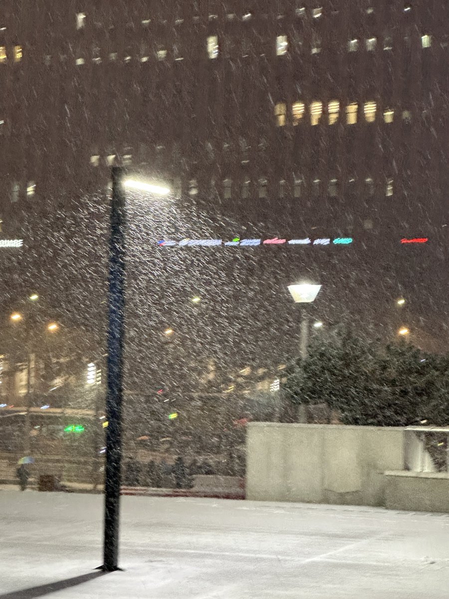 새겨울 첫눈 ☃️🤍🤍🤍🤍