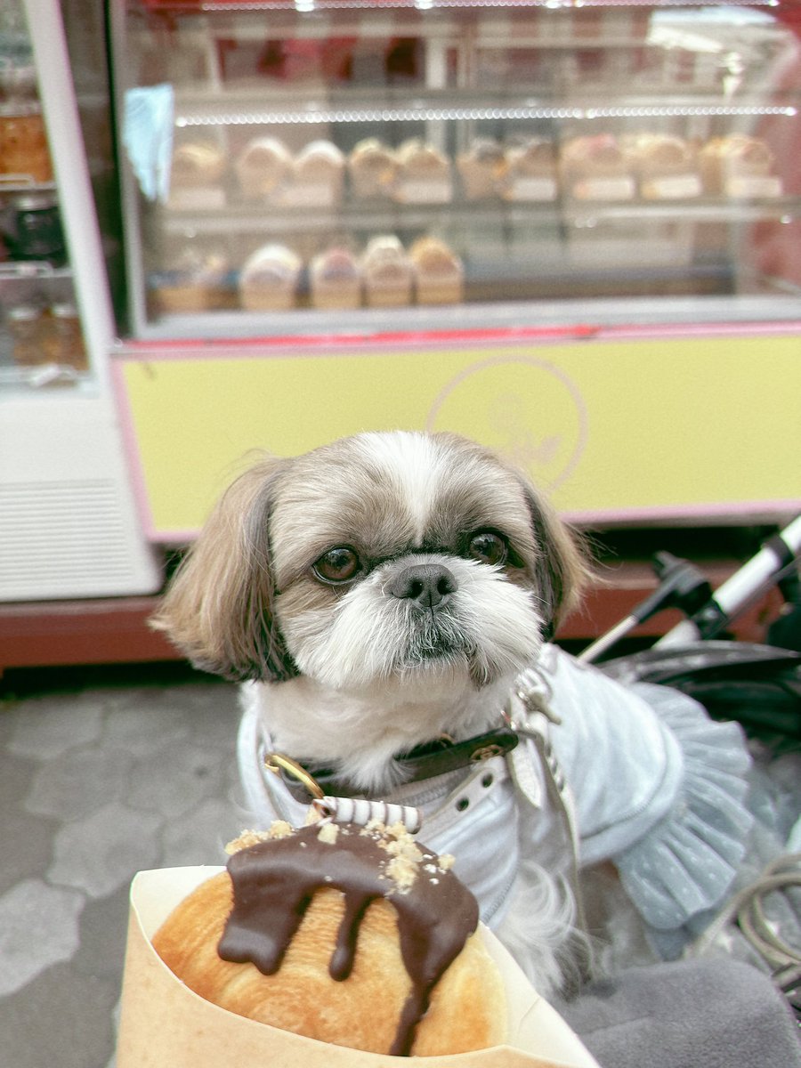 chris4989 (@chris49891) / Posts / X