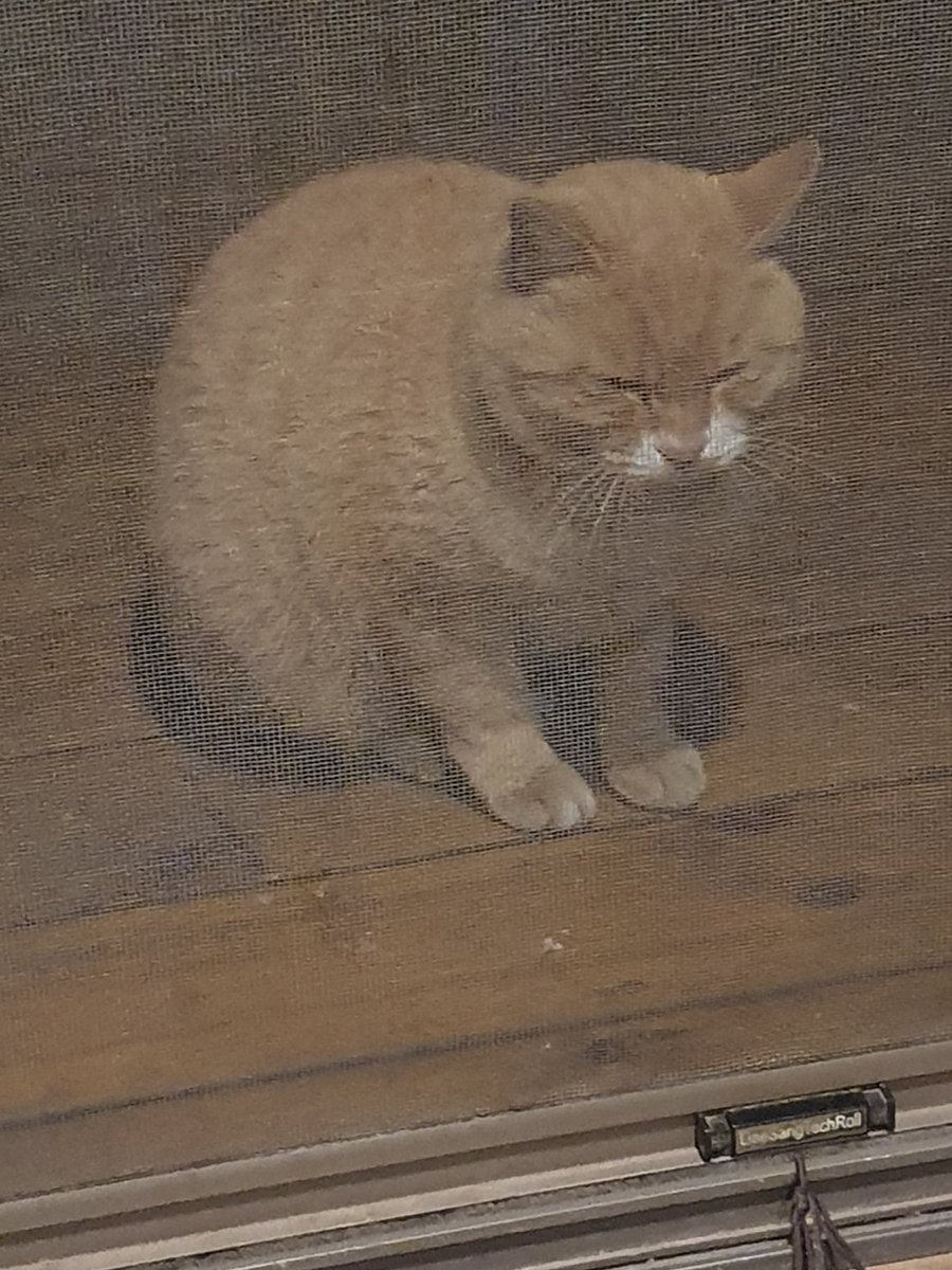 링클@믹싱 커미션 (@rinklemusic_mix) on Twitter photo 