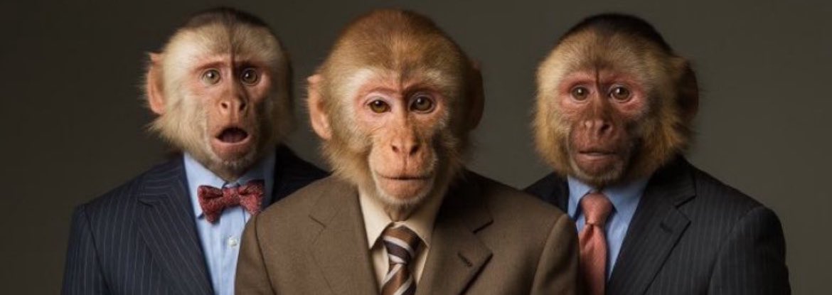 What about NFTs as Communities?

Saga Monkes
Mad Lads
Famous Foxes
Claynosaurz
SMB Gen2
BoDoggos
Galactic Geckos