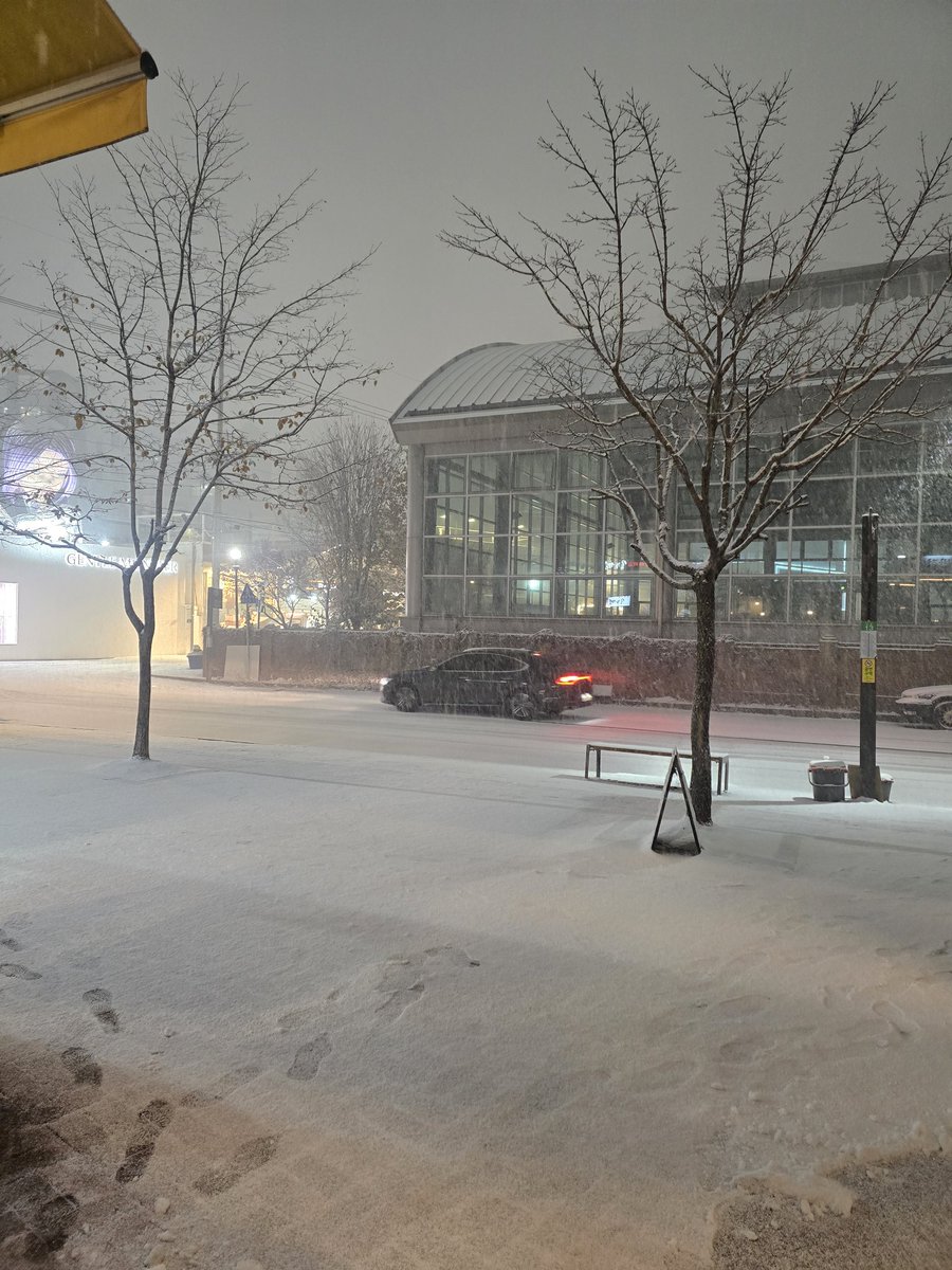 퇴근하니 눈세상